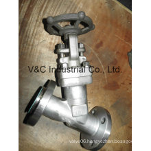 Y Type Forged Steel Globe Valve